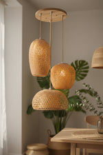 Suspension nature - Vignette | Suspensionsparis