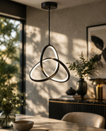 Suspension salon noir - Vignette | Suspensionsparis