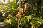 Suspension singe - Vignette | Suspensionsparis